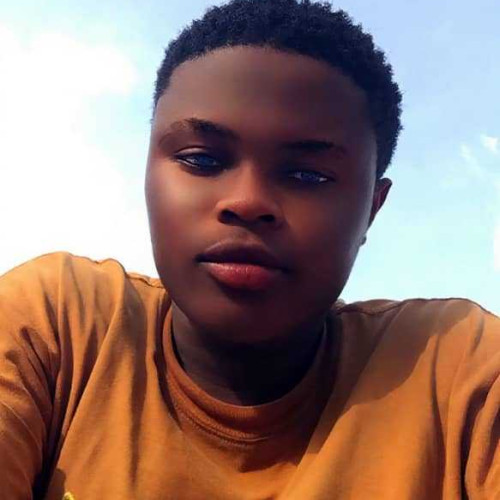 Desty N. profile photo