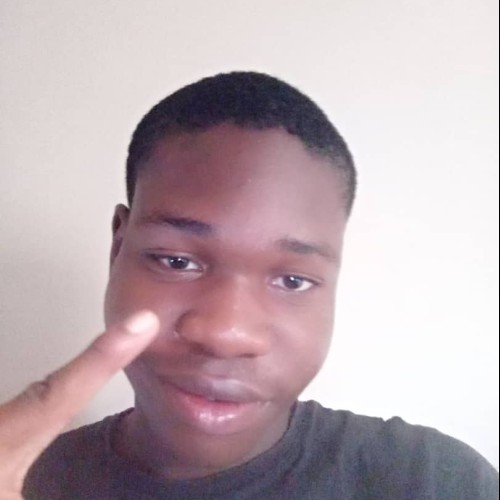 Hilo G. profile photo