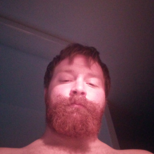 Michael  Z. profile photo