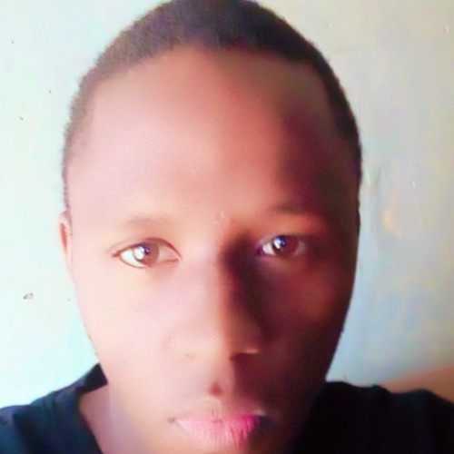 Solomon D. profile photo