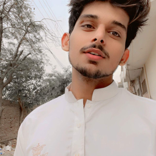 Ali H. profile photo