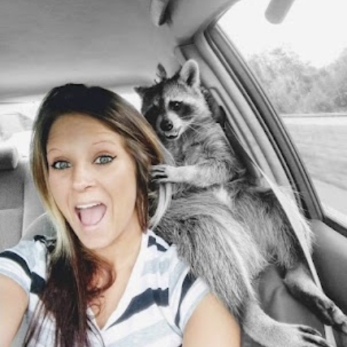 Tess C. profile photo