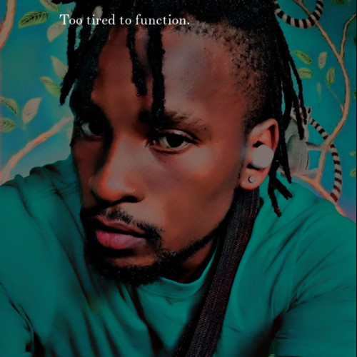 Ayam M. profile photo