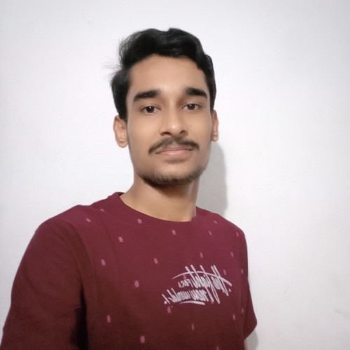 Ansh S. profile photo