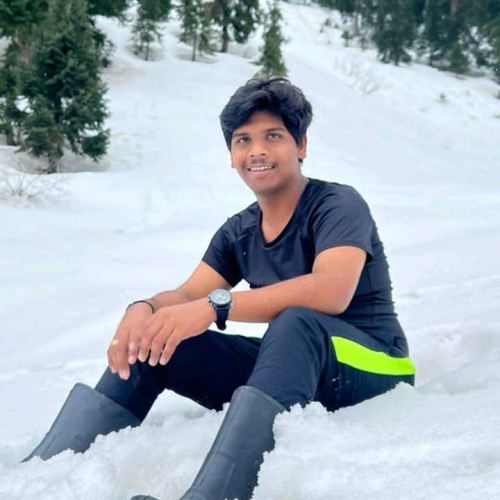 gopi N. profile photo