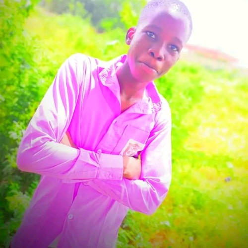 Stephen F. profile photo