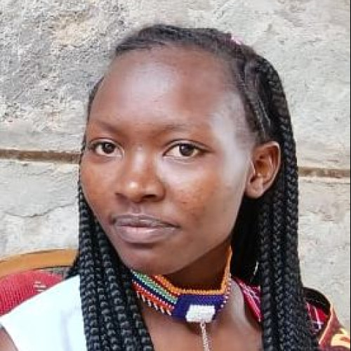 Sylvia  N. profile photo