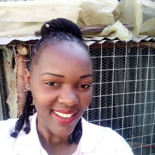 Moni K. profile photo