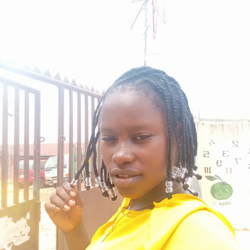 Steve  C. profile photo