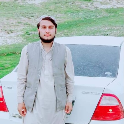 waliullah s.