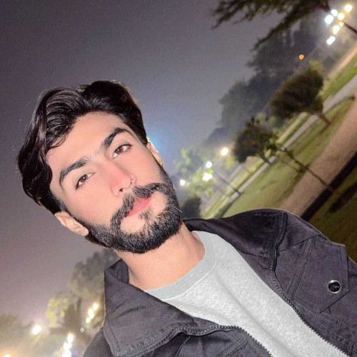 Ali H. profile photo