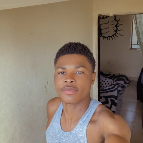 David S. profile photo