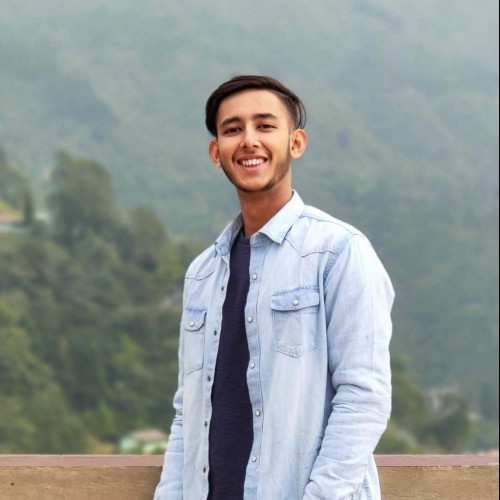 Kaushik B.