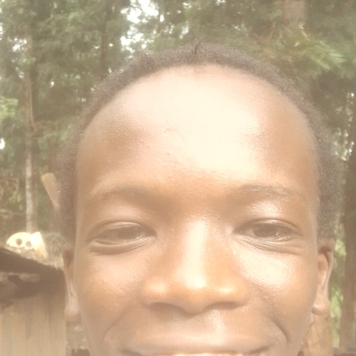 Dennis  N. profile photo