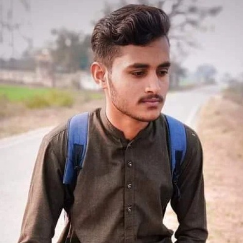 Shahzaib I.