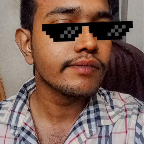 Mobasir H.