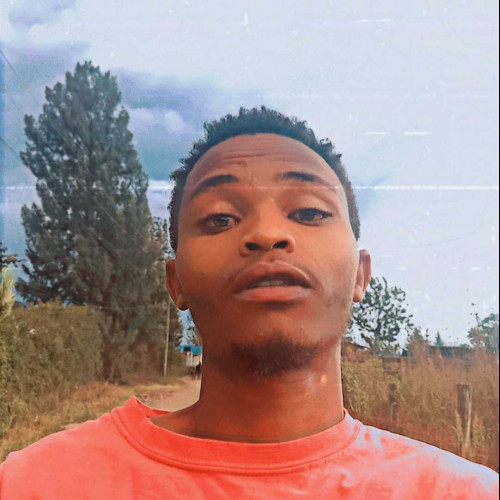 Alekoh n.