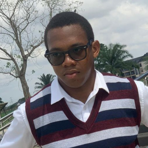 Ebubechukwu P. profile photo