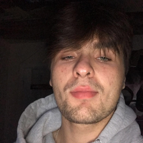 Dana N. profile photo