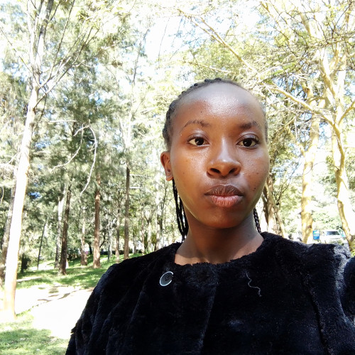 Tess N. profile photo