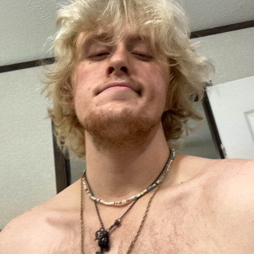 Wyatt A. profile photo