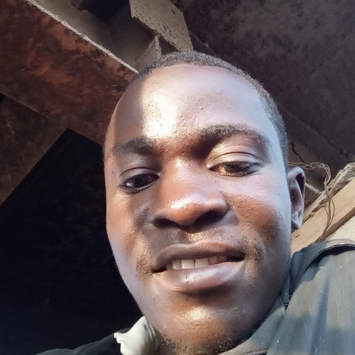  Talugendo  D. profile photo