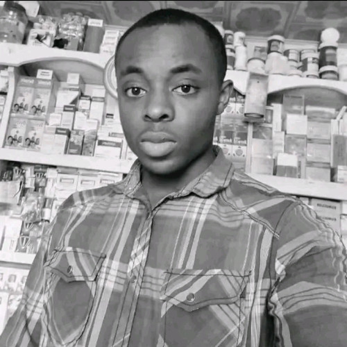 Ndubuisi O. profile photo