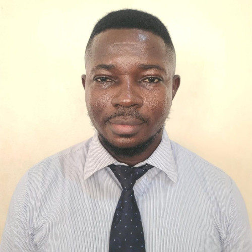 Ifeanyi  N. profile photo