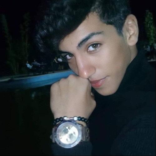 anas s.