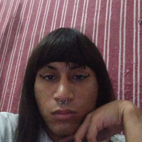 Sofia S. profile photo