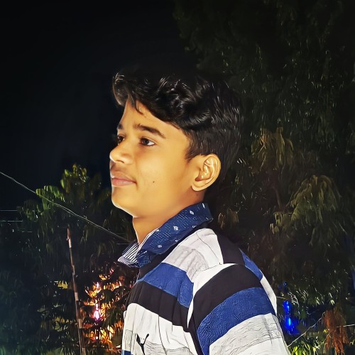 Sayan L.