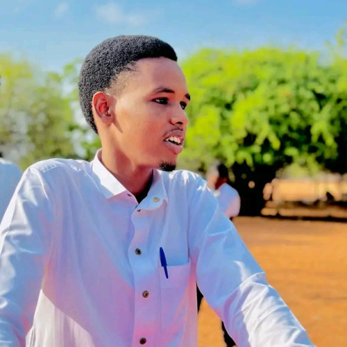 Abdikadir  N. profile photo