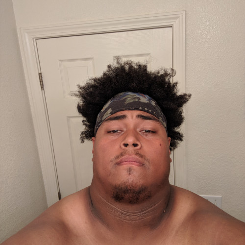 Paul T. profile photo