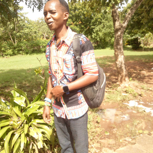 Dibrano L. profile photo