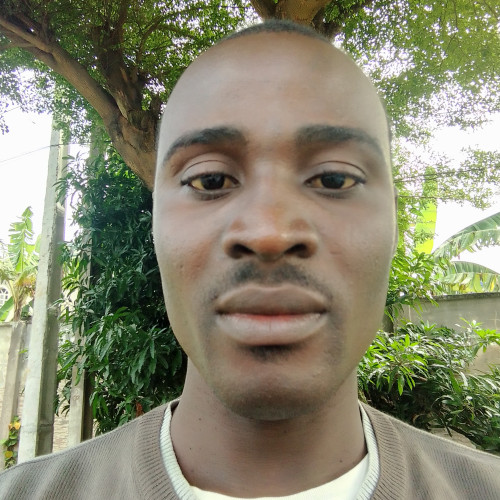 Ernest Emmanuel  N. profile photo