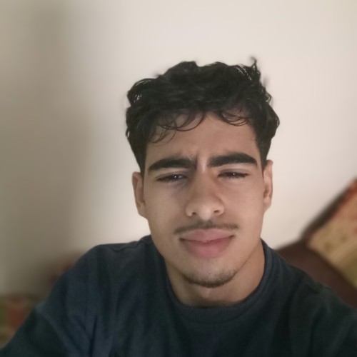 errahmouni O. profile photo