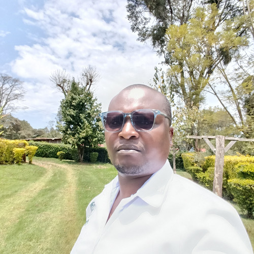 Simon M. profile photo