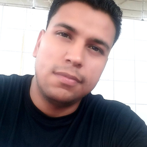 Luis P. profile photo