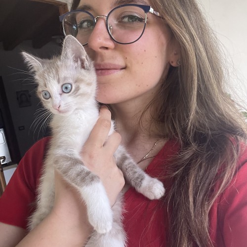 Sara V. profile photo
