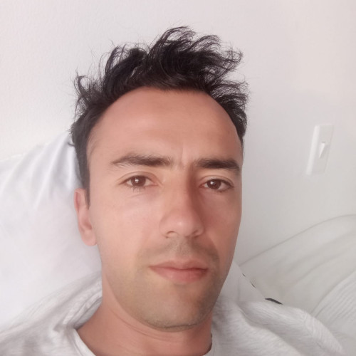 Felipe B. profile photo