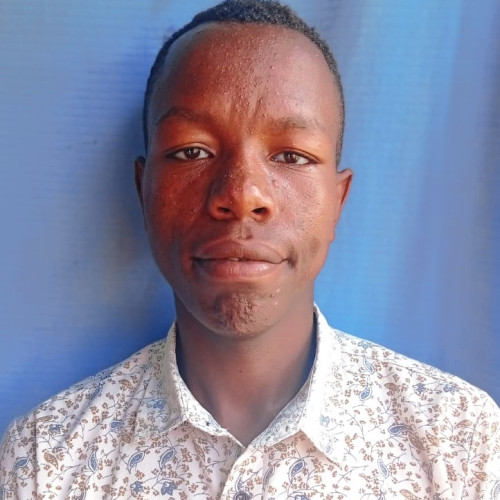 Nathan N. profile photo