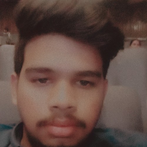 Priyanshu S.