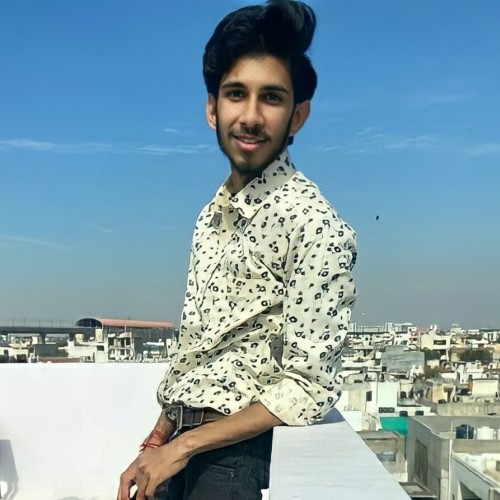 Kartik N.