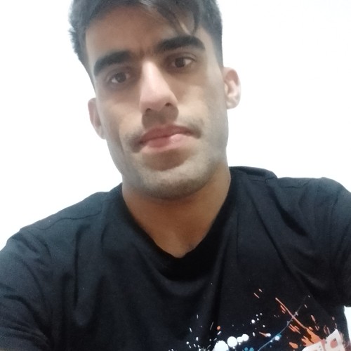 Javid  z. profile photo