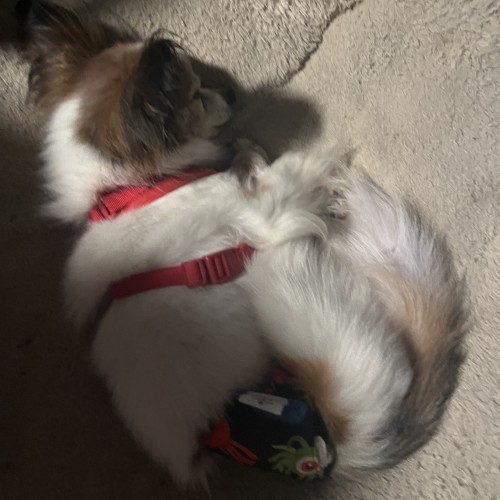 William P. profile photo