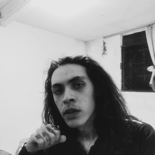 michael p. profile photo