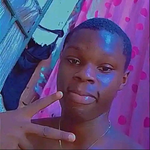 David  I. profile photo