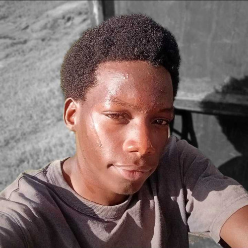 Elvine N. profile photo