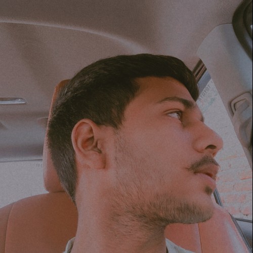Nitesh  K.
