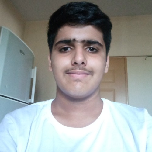 Ali N.